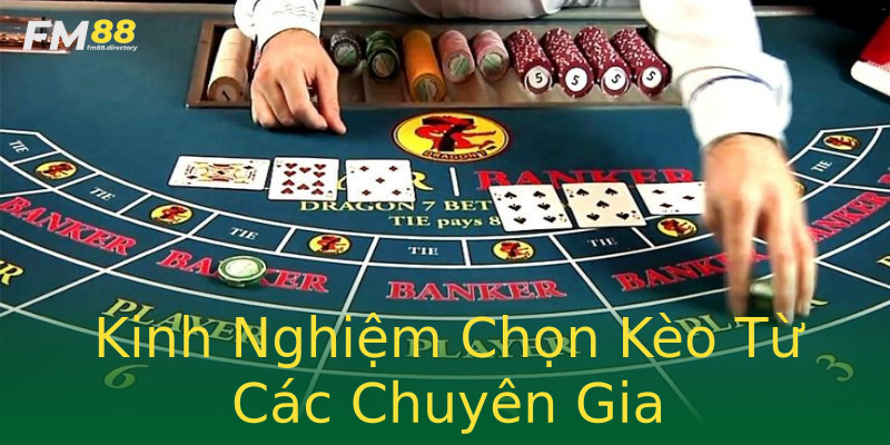 Kinh Nghiệm Chọn Kèo Từ Các Chuyên Gia Kinh Nghiệm Chọn Kèo Từ Các Chuyên Gia