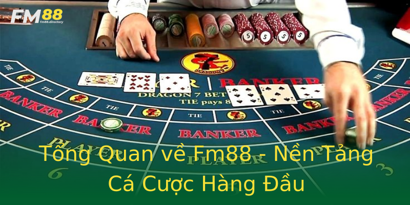 Tổng Quan về Fm88 - Nền Tảng Cá Cược Hàng Đầu Tổng Quan về Fm88 - Nền Tảng Cá Cược Hàng Đầu