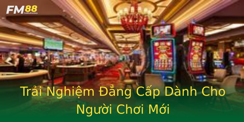 Trải Nghiệm Đẳng Cấp Dành Cho Người Chơi Mới Trải Nghiệm Đẳng Cấp Dành Cho Người Chơi Mới
